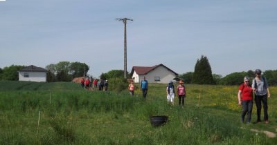 Marche hebdomadaire du mardi