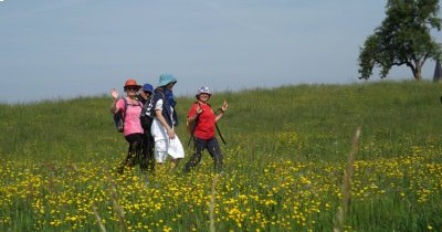 Marche hebdomadaire du mardi