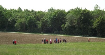 Marche hebdomadaire du mardi