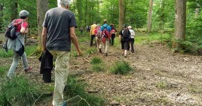 Marche hebdomadaire du mardi