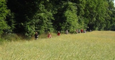 Marche hebdomadaire du mardi