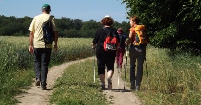 Marche hebdomadaire du mardi