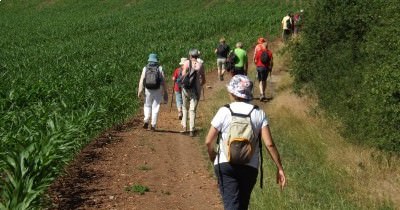 Marche hebdomadaire du mardi