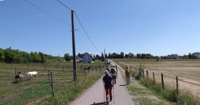 Marche hebdomadaire du mardi