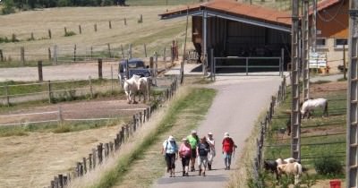 Marche hebdomadaire du mardi