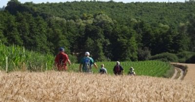 Marche hebdomadaire du mardi