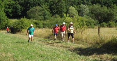 Marche hebdomadaire du mardi