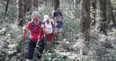 Marche hebdomadaire du mardi