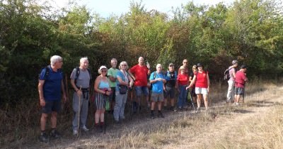 Marche hebdomadaire du mardi