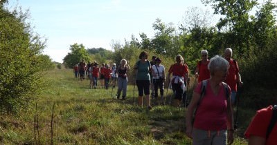 Marche hebdomadaire du mardi