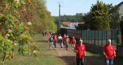 Marche hebdomadaire du mardi