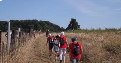 Marche hebdomadaire du mardi