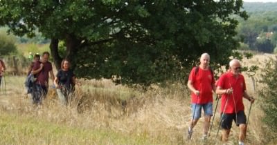 Marche hebdomadaire du mardi