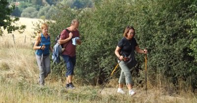 Marche hebdomadaire du mardi