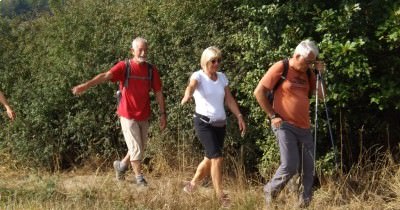 Marche hebdomadaire du mardi