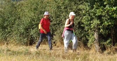 Marche hebdomadaire du mardi