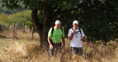 Marche hebdomadaire du mardi