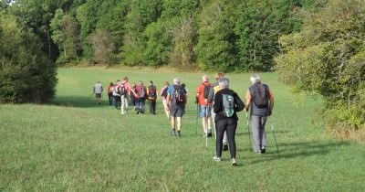 Marche hebdomadaire du mardi