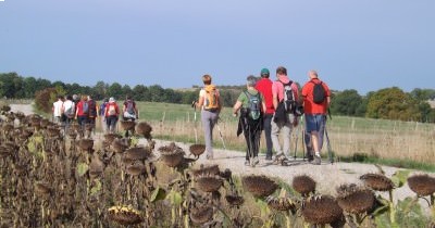 Marche hebdomadaire du mardi