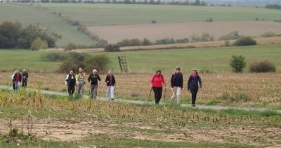 Marche hebdomadaire du mardi