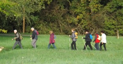 Marche hebdomadaire du mardi