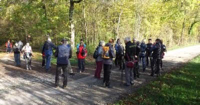 Marche hebdomadaire du mardi