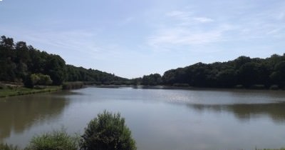 Marche nordique du lundi et du jeudi