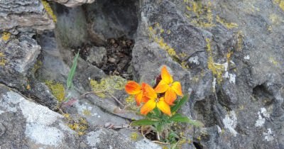 Bretagne - St-Cast-le-Guildo - du 29 avril au 6 mai 2023