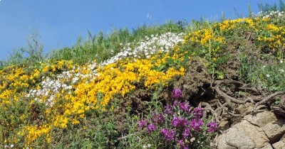 Bretagne - St-Cast-le-Guildo - du 29 avril au 6 mai 2023