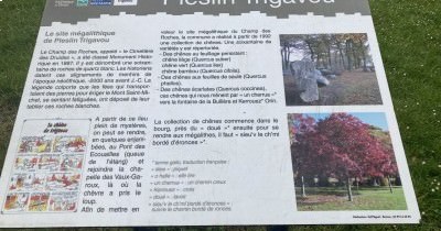 Bretagne - St-Cast-le-Guildo - du 29 avril au 6 mai 2023