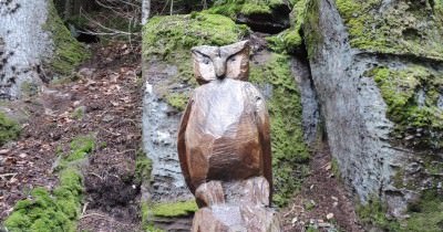 Traversée des Hautes-Vosges GR 5 - du 16 au 23 juillet 2023