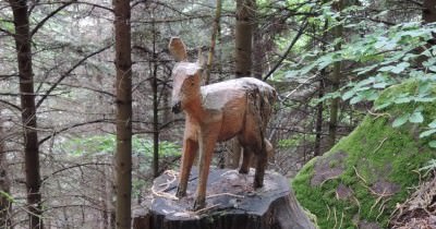 Traversée des Hautes-Vosges GR 5 - du 16 au 23 juillet 2023