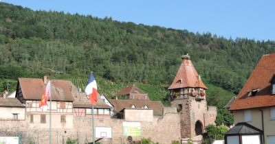 Traversée des Hautes-Vosges GR 5 - du 16 au 23 juillet 2023