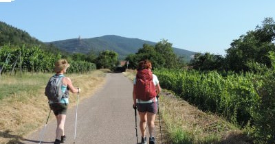 Traversée des Hautes-Vosges GR 5 - du 16 au 23 juillet 2023