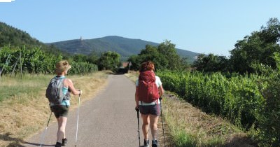 Traversée des Hautes-Vosges GR 5 - du 16 au 23 juillet 2023