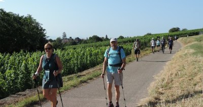 Traversée des Hautes-Vosges GR 5 - du 16 au 23 juillet 2023