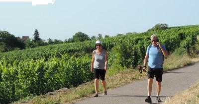 Traversée des Hautes-Vosges GR 5 - du 16 au 23 juillet 2023