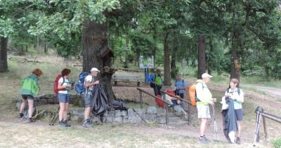 Traversée des Hautes-Vosges GR 5 - du 16 au 23 juillet 2023