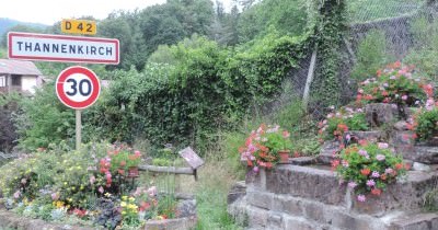 Traversée des Hautes-Vosges GR 5 - du 16 au 23 juillet 2023