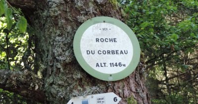 Traversée des Hautes-Vosges GR 5 - du 16 au 23 juillet 2023