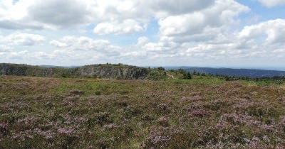 Traversée des Hautes-Vosges GR 5 - du 16 au 23 juillet 2023