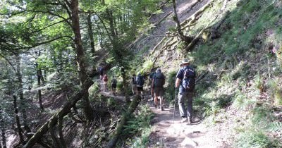 Traversée des Hautes-Vosges GR 5 - du 16 au 23 juillet 2023