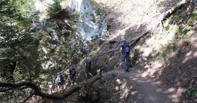 Traversée des Hautes-Vosges GR 5 - du 16 au 23 juillet 2023