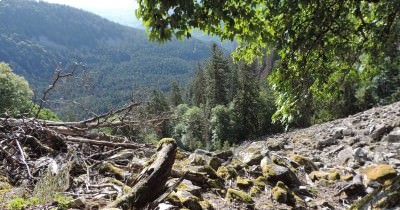 Traversée des Hautes-Vosges GR 5 - du 16 au 23 juillet 2023