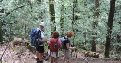 Traversée des Hautes-Vosges GR 5 - du 16 au 23 juillet 2023