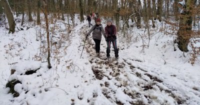 Marche hebdomadaire du mardi