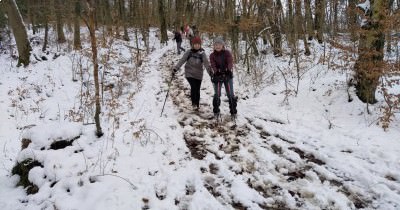 Marche hebdomadaire du mardi