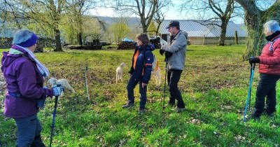 Marche hebdomadaire du mardi