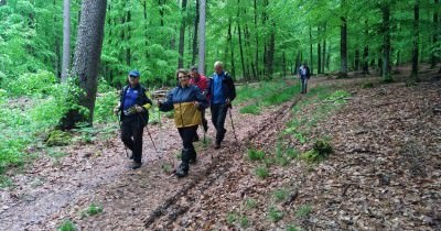 Marche hebdomadaire du mardi