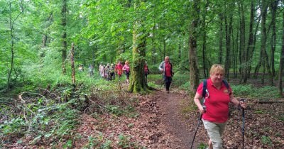 Marche hebdomadaire du mardi